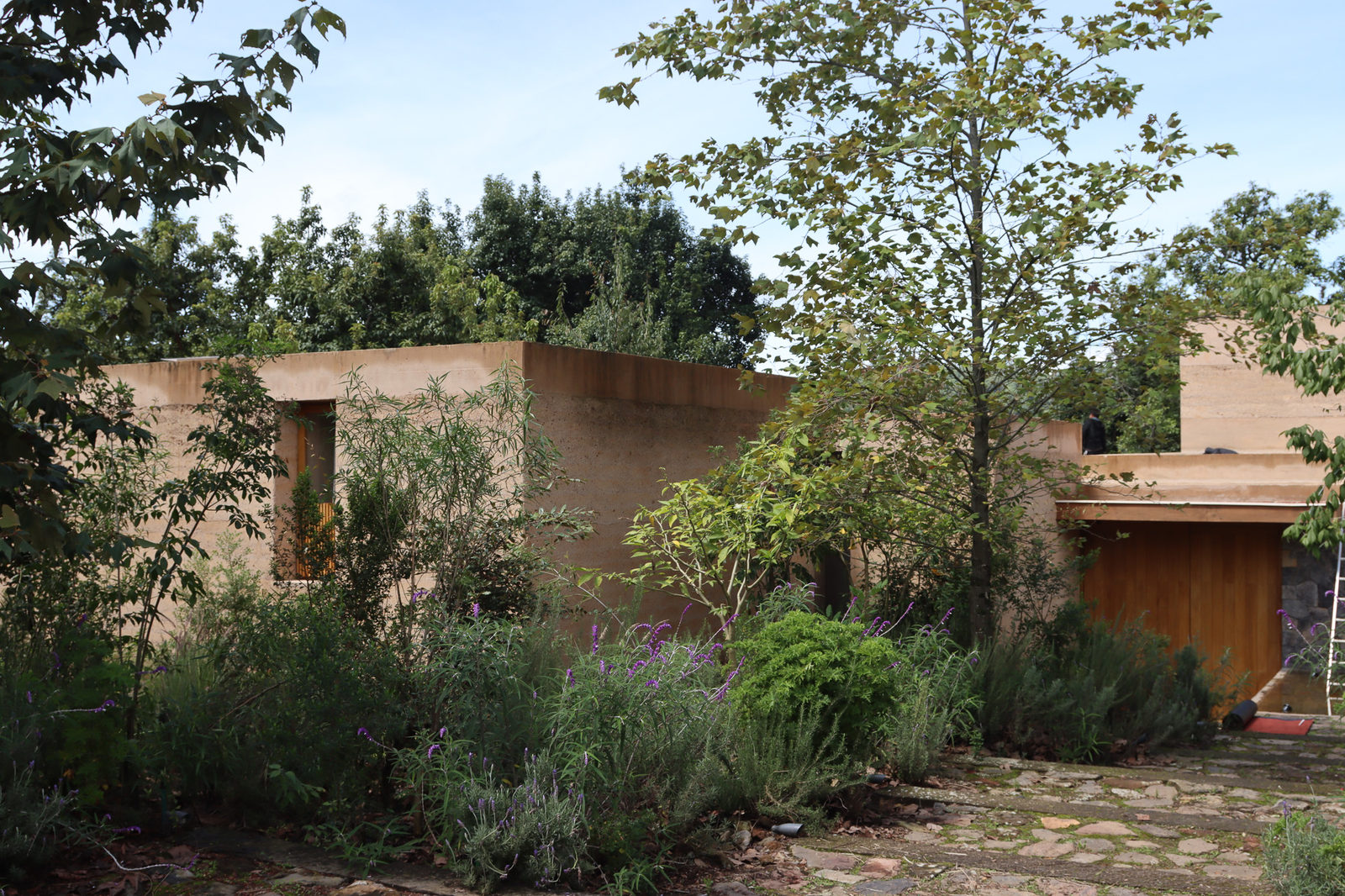Casa Catarina: Puertas de madera
