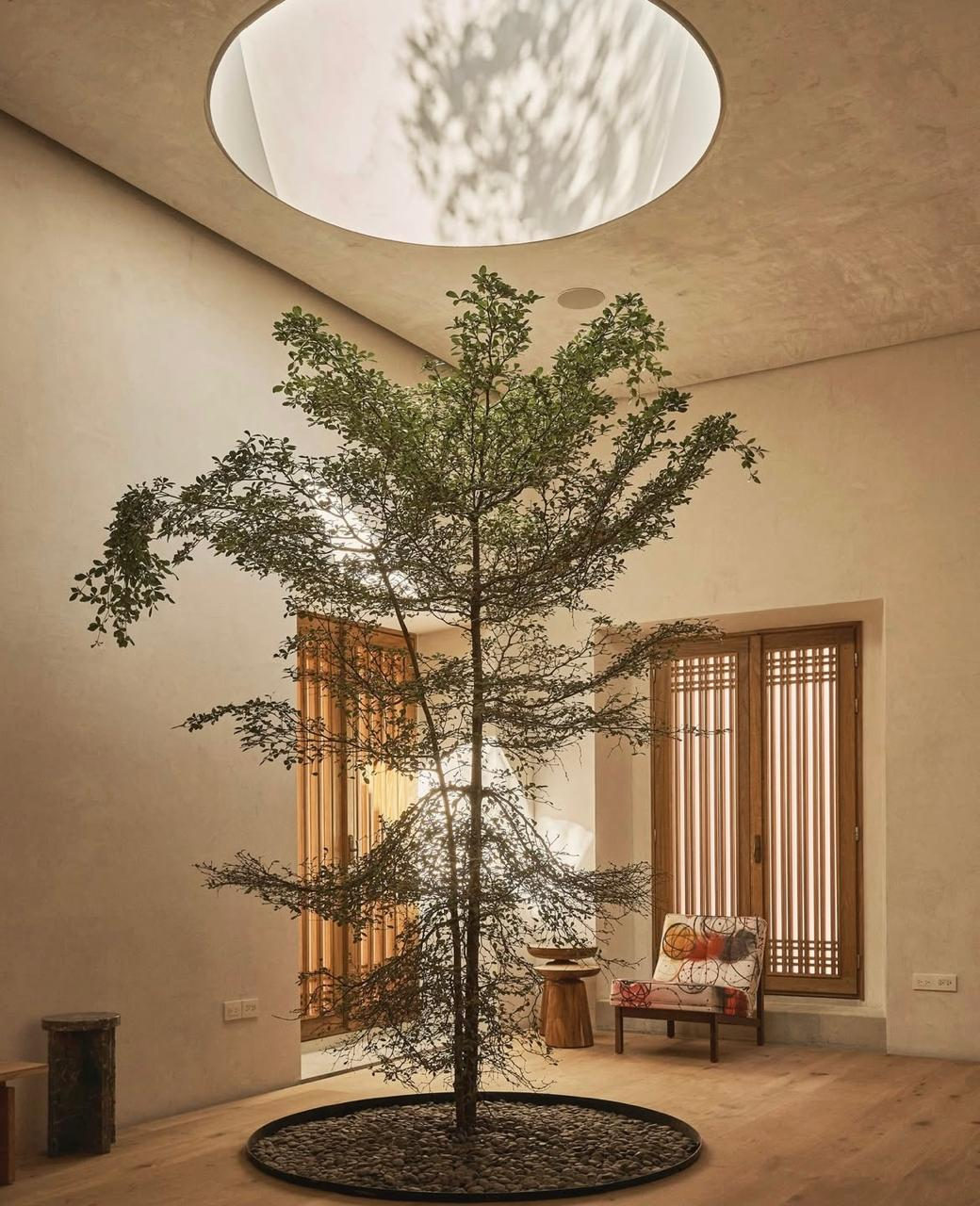 Casa S: Puertas y ventanas de madera maciza