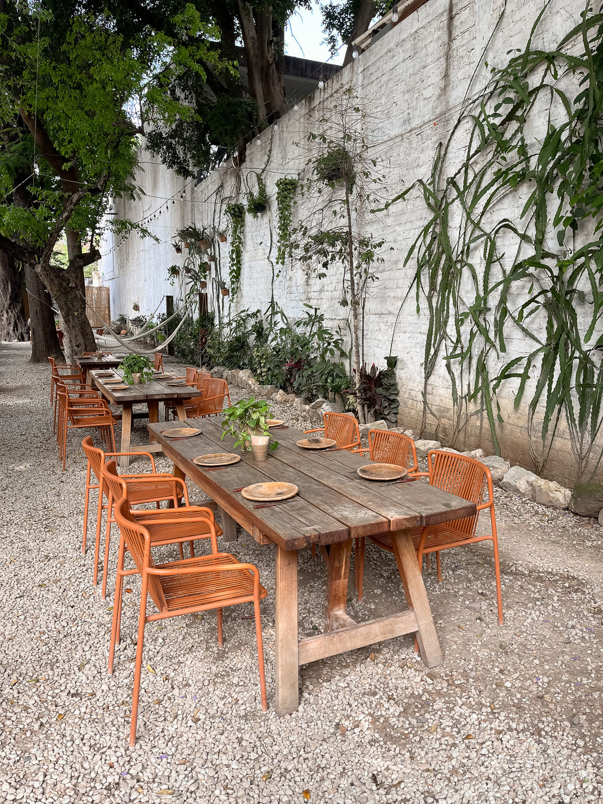 Restaurante Criollo: Mesa de madera maciza